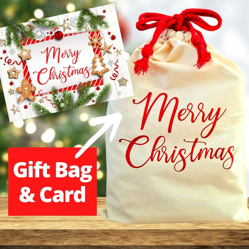 Christmas Gift Bag and Card - Holds one Night Light or Moneybox.